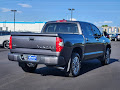 2020 Toyota Tundra 4WD Platinum