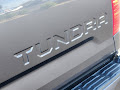 2020 Toyota Tundra 4WD Platinum